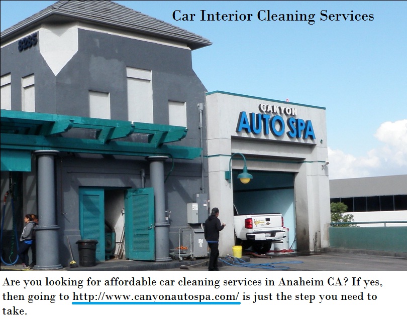 canyonautospa0 – Page 2 – Best Car Interior Cleaner